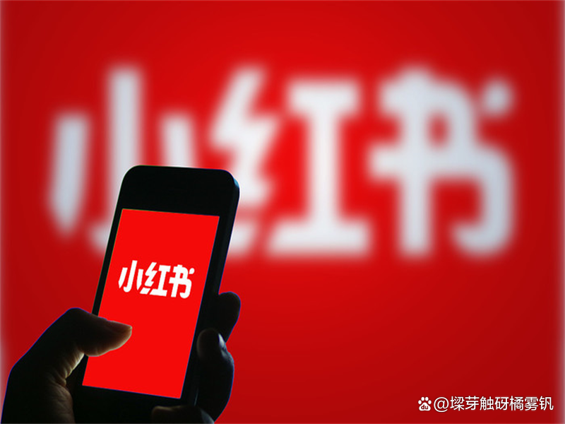 小红书粉丝1000